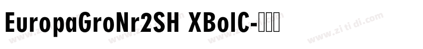 EuropaGroNr2SH XBolC字体转换